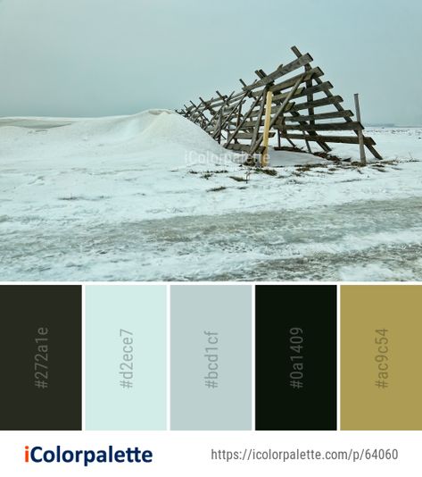 Interior Design Themes, Color Card, Colour Palette, Color Palette, Color Schemes, Frozen, Color, Design