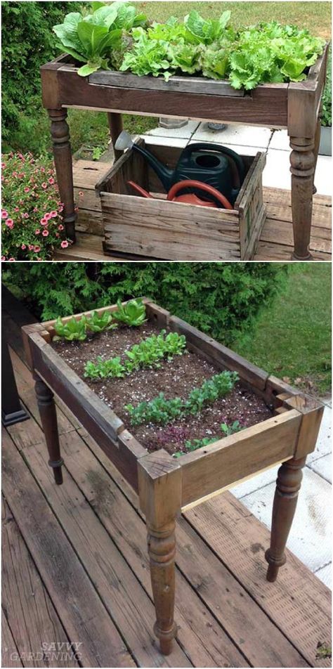 Old Coffee Table Planter Lettuce Table, Old Table, Plants Growing, Have Inspiration, Garden Care, Veggie Garden, Shade Garden, Raised Garden, Raised Garden Beds