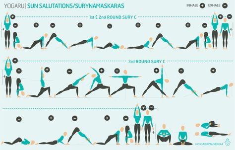 Sun Salutation B, Sun Salutation Sequence, God Of Sun, Hip Anatomy, Chaturanga Dandasana, Movement Meditation, Sun Salutations, Upward Facing Dog, Yoga Anatomy