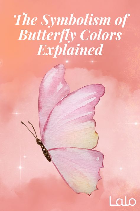 Pink Butterfly Meaning, Butterfly Symbolism Meaning, Lotus Meaning, Hummingbird Meaning, 3 Meaning, What Colors Represent, Butterfly Symbolism, Butterfly Colors, Purple Butterfly Tattoo