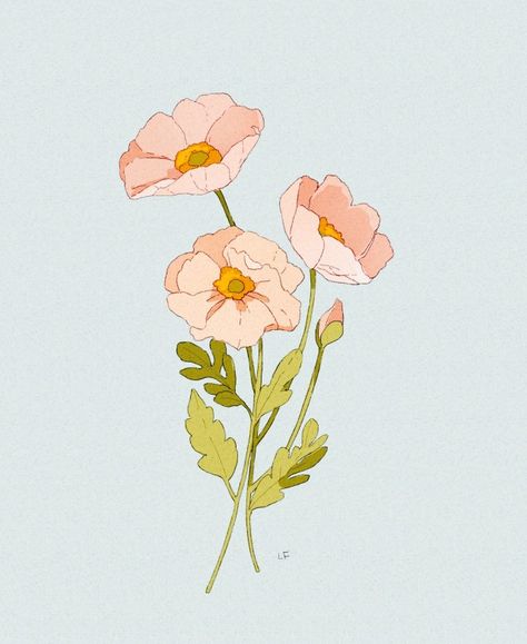 Libby Frame, Peach Riot, Frame Illustration, Pink Poppy, Queen Shop, Plant Illustration, Flower Illustration, Editorial Illustration, Insomnia