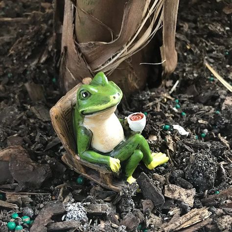 Gnome Collection, Frog Garden, Frog Statues, Frog Sitting, Garden Gnome, Garden Statue, Vintage Italy, Outdoor Statues, Fairy Gardens