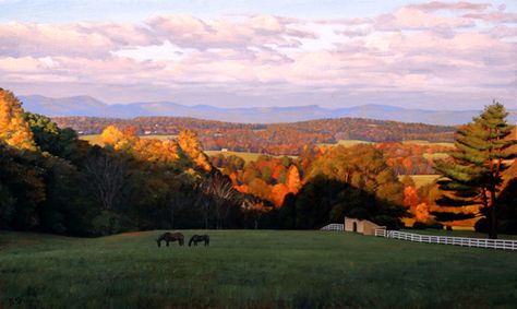 Why Fauquier County Will Always Be Home Lee County Virginia, Lee County, Pretty Places, Home Sweet Home, My House, Always Be, Virginia, Sweet Home, Favorite Places