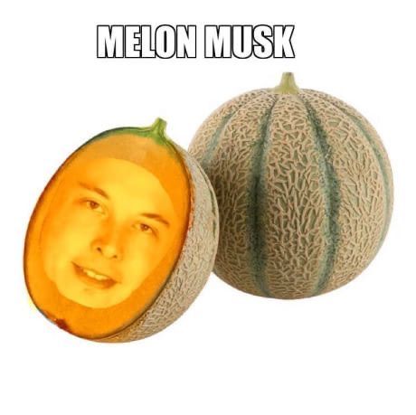 Melon Musk, Celebrity Puns, Cleaning Aesthetic, Chicken Crochet, Michael Jackson Funny, Hee Man, Tiktok Ideas, Clean Funny Jokes, Snapchat Stickers