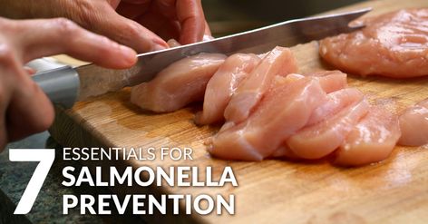 Salmonella Prevention: 7 Essentials Period Eating, Undercooked Chicken, Contaminated Food, Food Poisoning, Basic Kitchen, Raw Chicken, Chicken Food, Tortilla Wraps, Smoked Chicken