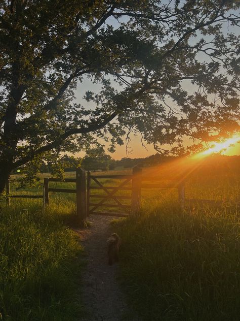 Nature summer autumn slow life slow living countryside life Vision Board Slow Living, Countryside Life Aesthetic, Slow Down Aesthetic, Slow Aesthetic, Slow Life Aesthetic, English Countryside Aesthetic, July Inspiration, Autumn Countryside, Countryside Life