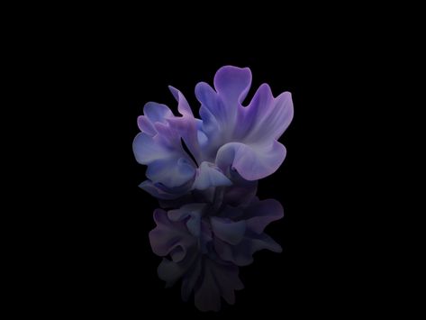 Desktop Wallpaper Flower, light-blue, dark, hd image, picture, backgrounds, c7b8fb Pc Background Dark, Flower Wallpaper Desktop, Relaxing Pics, Dark Desktop Wallpaper, Dark Desktop Backgrounds, Locker Wallpaper, Flower Desktop Wallpaper, Pc Background, Pc Desktop Wallpaper