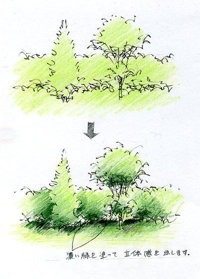 Trees Drawing Tutorial, Plant Sketches, Landscape Design Drawings, Landscape Architecture Drawing, Nature Sketch, Tree Sketches, Landscape Sketch, Plant Drawing, 수채화 그림