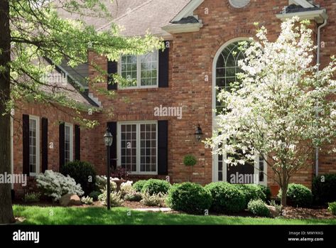 Red Brick House Landscaping, Brick House Landscaping, Formal Landscaping, Landscape Bricks, Box Wood Shrub, Passive Solar Design, Red Brick House, House Landscaping, Front Landscaping