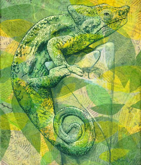 chameleon Chameleon Camouflage Art, Camouflage Animals Art, Chameleon Camouflage, Camouflage Animals, Cameleon Art, Natural Forms Gcse, Nature Forms, Metamorphosis Art, Chameleon Art