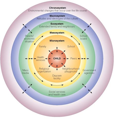 2. Bronfenbrenner's model of social ecology is a visual representation of a child's 'spheres of influence' and their level of impact on a child's development. Developmental Theories, Ecological Systems Theory, Social Work Theories, Social Learning Theory, Child Development Theories, Human Growth And Development, Child Development Activities, Human Ecology, Systems Theory