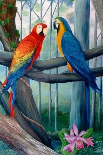 GUACAMAYA AL OLEO CON PAISAJE  PAJAROS PINTADOS AL OLEO  LOS POLLITOS UN TIERNA PINTURA CON LA TECNICA AL OLEO Enlaces Relac... Parrot Painting, Jungle Birds, Parrots Art, Bird Poster, Bird Wall Art, Tropical Art, Bird Pictures, Exotic Birds, Tropical Birds