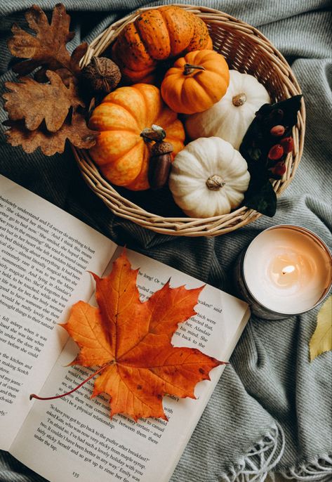 October Vibes Aesthetic, Autumn Flatlay, Pumpkin Gingerbread, Autumn Magic, Autumn Nature, Autumn Vibes, Fall Pictures, Autumn Cozy, Autumn Aesthetic