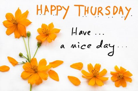 Morning Thursday Images, Card Handwriting, Morning Prayer Images, Flowers Cosmos, Good Morning Thursday Images, Thursday Greetings, Thursday Images, Good Morning Msg, Good Thursday