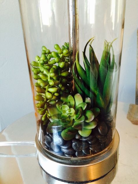 Fake succulents and black pebbles inside a fillable lamp base. So cute! Ideas To Fill Glass Lamps, Fill Lamp Base Ideas, Glass Lamp Base Filler Ideas, Fillable Lamp Ideas Living Room, Lamp Filler Ideas, Fillable Glass Lamp Ideas, Clear Lamp Base Filled Ideas, Glass Lamp Filler Ideas, Fillable Lamp Ideas