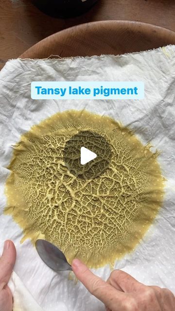 Strata Ink on Instagram: "Grinding up several batches of Tansy lake pigment. Storing up sunlight for winter. (and paints, pastels, etc) 🌞

Anyone else love using an old spoon in the studio? Useful for so many tasks. 

#lakepigment #lakepigments #handmadepigment #handmadepigments #tansy #tansydye" Natural Dyeing, In The Studio, Natural Dyes, The Studio, Pastel, Lake, On Instagram, Instagram