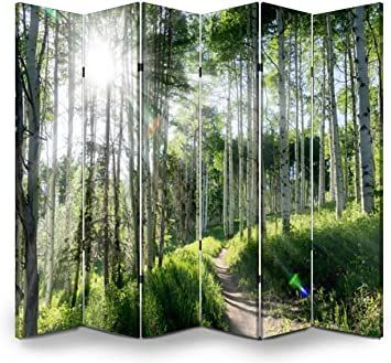 Wood Screen Room Divider Beautiful Mountain Hiking Trail Through Aspen Trees of Vail Colorado Folding Screen Canvas Privacy Partition Panels Dual-Sided Wall Divider Indoor Display Shelves 6 panels Privacy Partition, Wall Divider, Screen Room Divider, Wood Screens, Screen Room, Vail Colorado, Aspen Trees, Divider Wall, Folding Screen