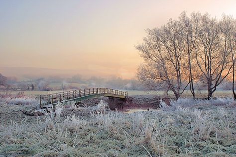 Frosty sunrise, at the Wilson Haines bridge on the river Stour, Shillingstone, Dorset, December, winter Pictures Of England, British Countryside, Winter Scenery, Snow Scenes, English Countryside, Cebu, Filming Locations, Winter Landscape, Great Pictures