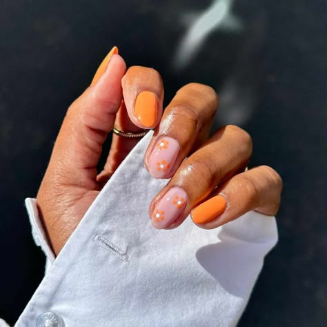 Pastel Orange And Pink Nails, Orange Color Nails, Orange Nail Art, Orange Acrylic Nails, Short Nail Manicure, Orange Nail Designs, Orange Nail Polish, Orange Nail, Basic Nails