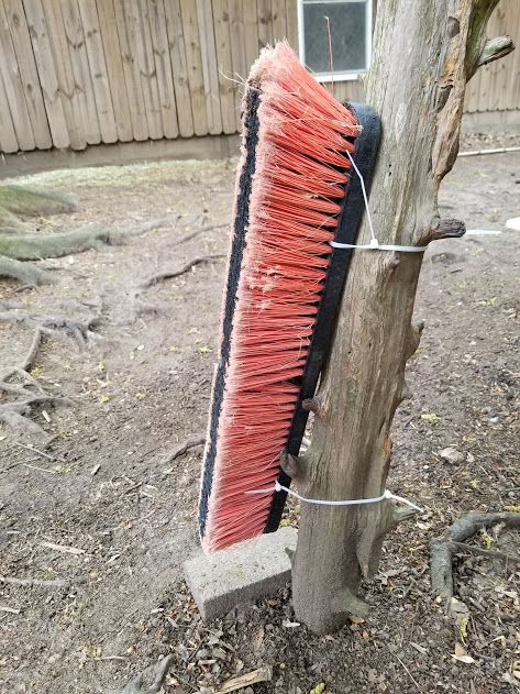 Goat Scratcher, Goat Playground, Goat Toys, Goat Shed, Goat Shelter, Goat Pen, Pet Goat, Goat House, Raising Farm Animals