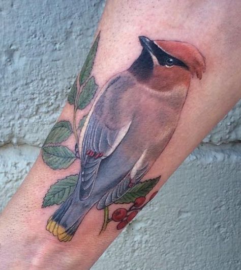 Cedar waxwing bird tattoo Cedar Waxwing Tattoo, Waxwing Tattoo, Waxwing Bird, Texas Tattoos, Cedar Waxwing, Bird Tattoo, Birds Tattoo, Love Tattoos, Tattoos And Piercings