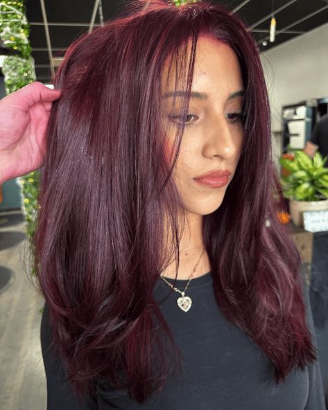 Maroon Elegance in Bloom Mahogany Balayage, Maroon Hair Color, Merlot Hair Color, Inspiring Hairstyles, Hair Color Plum, Maroon Hair, Wine Hair, Bold Hair Color, Burgundy Hair