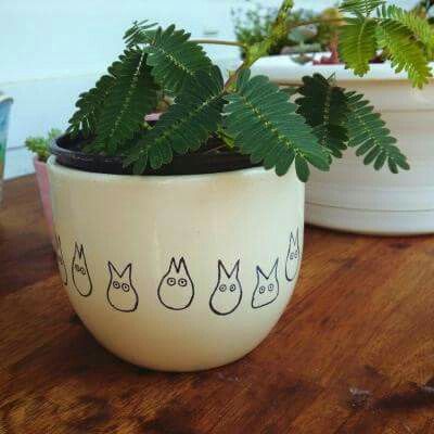 Totoro planter Ghibli Ceramics, Ceramic Cafe, Diy Pottery Painting, Color Me Mine, Pottery Painting Designs, Keramik Design, Diy Pottery, Pot Designs, Ceramics Pottery Art