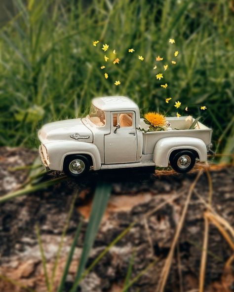 Stilllife.. #toys Toy Car Aesthetic, Toy Car Photography, Syntax, Toys Photography, Cute Toys, Photo Idea, Year 2024, Car Photography, Still Life Photography