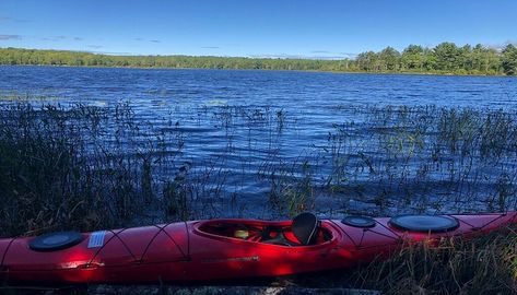 This Day Trip To Blue Hill Is One Of The Best You Can Take In Maine Blue Hill Maine, East Coast Road Trip, Blue Hill, Gift Shops, Historical Society, Scenic Views, Art Galleries, Plan Your Trip, Hiking Trails