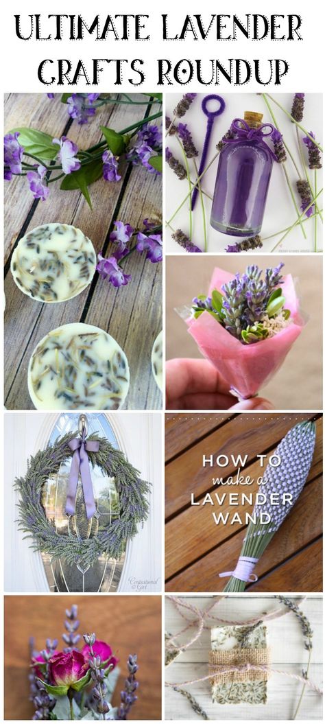 Lavender Gifts Diy, Lavender Crafts Diy, Lavender Flowers Diy, Lavender Plant Uses, Lavender Farming, Lavender Plant Care, Lavender Wands, Lavender Uses, Lavender Crafts