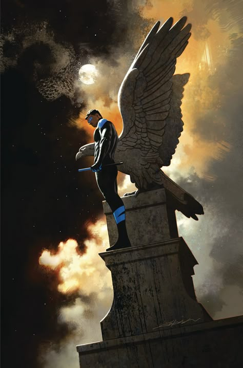 NIGHTWING #54 Jeff Dekal, Nightwing And Batgirl, Univers Dc, Arte Dc Comics, Bd Comics, Batman Family, Detective Comics, Dc Comics Art, Comic Book Covers