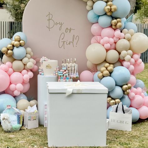 Our Extra Large Box Available for Your Gender Reveal . #genderreveal #balloonreveal #boyorgirl #pinkorblue #itsaboy #itsagirl #teampink #teamblue #balloondecor #partydecor #genderparty #surprise #cantwait #excitedparents #babynumber Gender Reveal Box Ideas, Gender Reveal Centerpieces, Box Gender Reveal, Summer Baby Shower Themes, Gender Reveal Box, Team Pink, Balloon Box, Gender Party, Summer Baby Shower