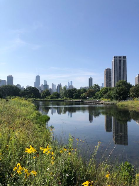 This picture was taken at Lincoln Park in Chicago. The scene features a pond with a variety of plants along the edges with the city’s skyline in the distance, which reflects on the water. Lincoln Park Chicago Aesthetic, Lincoln Park Zoo Chicago, Lincoln Park Chicago, Chicago Park, Chicago Aesthetic, Chicago Summer, Picnic Birthday Party, Lincoln Park Zoo, Chi Town