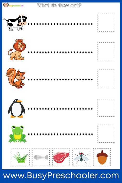 Classification Worksheet Preschool, What Animals Eat Worksheet, What Do Animals Eat Worksheets, Carnivores Herbivores Omnivores, Classifying Animals, Blw Recipes, Fruit Coloring, Kindergarten Phonics Worksheets, Animal Classification