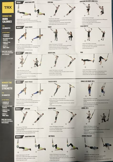 Trx Strength Workouts, Trx Workout Plan, Trx Movements, Trx Full Body Workout, Dumbbell Workout Plan, Trx Training Total Body Workouts, Wall Exercises, Trx Lower Body Exercises, Workouts For Beginners