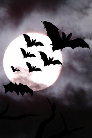 Moon, Clouds and Bats Bats Flying, Full Moon, Iphone Wallpaper, Moon, Iphone, Halloween