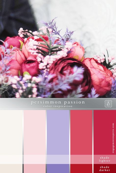 This is the perfect late fall/early winter wedding color palette. It's vibrant, exciting, and unexpected. The strong red hues bring all the passion. The pale pink along... #weddingcolors #weddingcolorideas #colorpalette Red Blush Wedding Color Schemes, Purple Pink Red Wedding, Lilac And Red Color Palette, Peacock Color Palette Wedding, Red Pink Purple Color Palette, Lavender And Red Color Palette, Red And Lilac Wedding, Red Purple Wedding Color Schemes, Lilac And Red Wedding