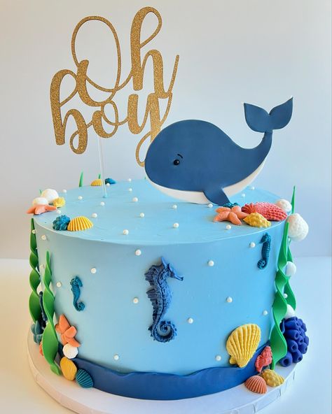 Under The Sea Sprinkle Shower Cake 🐳🐡🪸🐚 #customcake #buttercreamcake #buttercream #cake #sprinkleshower #sprinklecake #babyshowercake #babyshower #ohboy #underthesea #fondantdecoration #fondantart #fondant #cakedecorating #cakeart #cakedecorator #cakeartist #cottagebakery #njsmallbusiness #njbaker #njcakes #njdesserts Sprinkle Shower, Sprinkle Cake, Fondant Decorations, Shower Cake, Buttercream Cake, Shower Cakes, Baby Shower Cakes, Cake Art, Custom Cakes