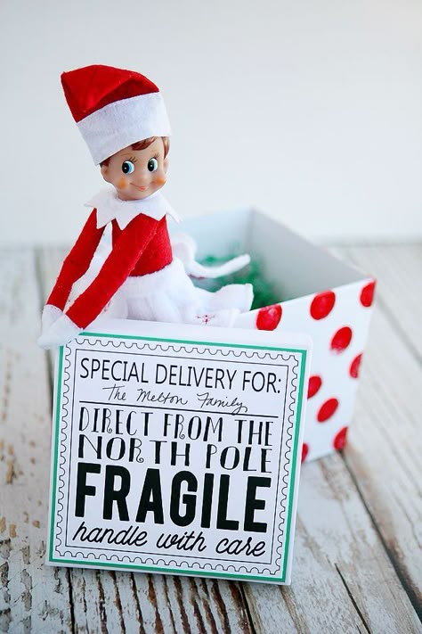 Elf On The Shelf Returns. Fun way to deliver your elf back to your family. Includes instructions for the box and the free download for the cute printable! To Do App, Christmas Elf On The Shelf, Elf On Shelf Ideas, Elf On A Shelf Ideas, Elf Fun, Christmas Preparation, The Elf On The Shelf, Elf On Shelf, Elf Ideas