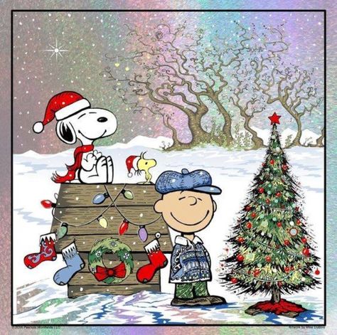 Peanuts Images, Merry Christmas Charlie Brown, Christmas Charlie Brown, Merry Christmas Meme, Good Morning Snoopy, Christmas Memes, Charlie Brown Snoopy, Peanuts Christmas, Snoopy Pictures