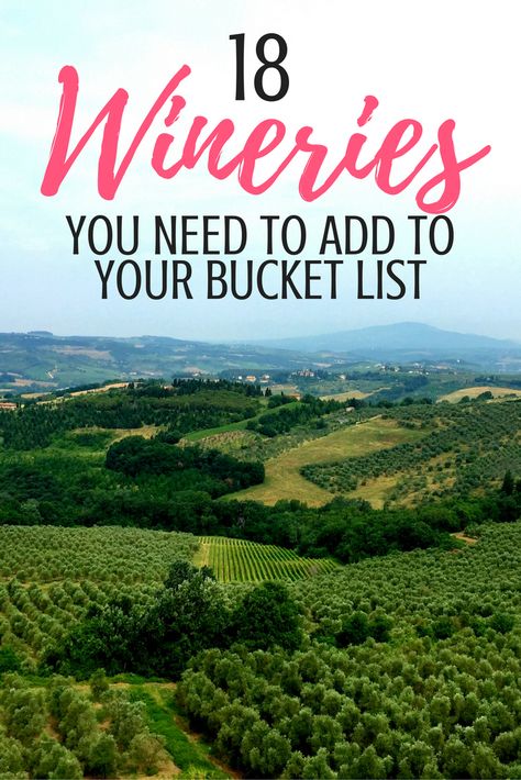 18 Wineries from 18 Different Wine Regions that you NEED to add to your bucket list | Wine Tasting | Wine Around the World | Wine Tourism Wine Country Travel, Finland Travel, Wine Tourism, Italy Wine, Wine Guide, Red Wines, Culinary Travel, Best Wine, Wine Travel