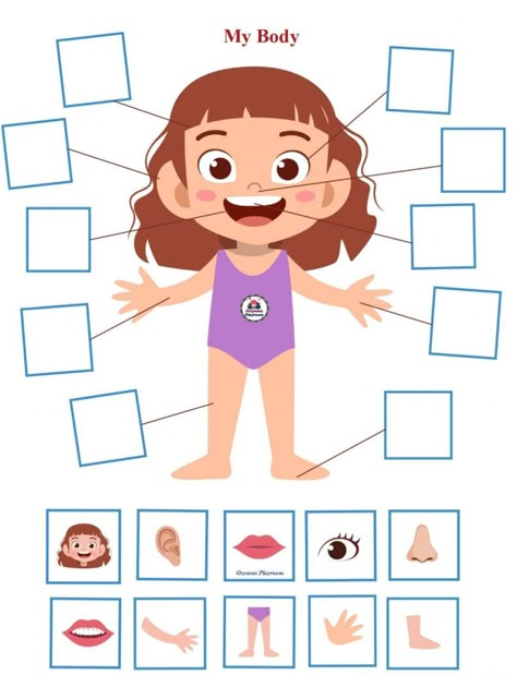 15 Fun Body Parts Learning Games and Activities for Kids Body Parts Preschool Activities, Body Parts For Kids, Body Parts Preschool, Senses Activities, Kids Worksheets Preschool, Free Preschool Worksheets, Preschool Activities Toddler, Kindergarten Learning Activities, Kindergarten Learning