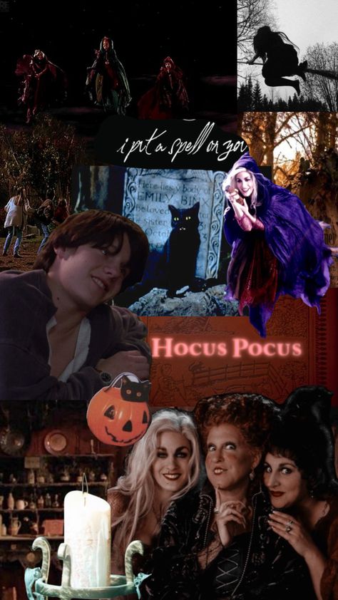 Sanderson Sister Aesthetic, Hocus Pocus Gif, Hocus Pocus Sisters, Hermanas Sanderson, The Fall Movie, Hocus Pocus 1993, Hocus Pocus Movie, Holiday Wallpapers, Movie Collage