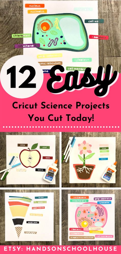 What if your Cricut could teach science? Well now it can with these kids Cricut activity sets! Homeschoolers and distance learners rejoice, as you can now explore parts of a plant, the human body, even the layers of the earth through papercraft. Check out all we have in store! Homeschool Cricut Ideas, Layers Of The Earth, Middle School Science Classroom, Earth Projects, Kids Silhouette, Homeschool Projects, Homeschool Crafts, Earth Day Activities, Homeschool Planner