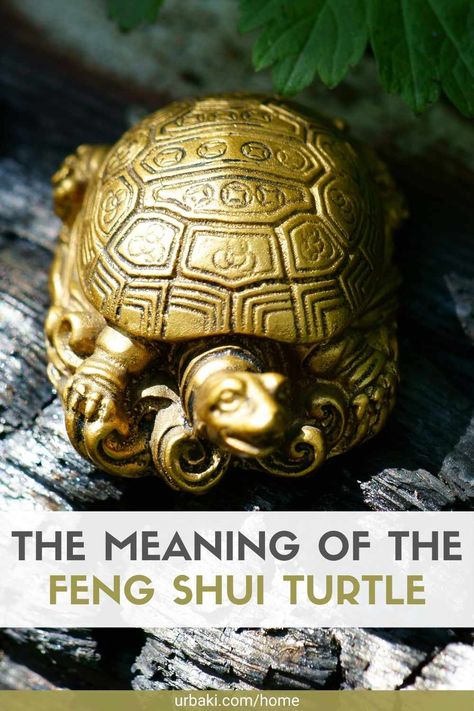 The Meaning of the Feng Shui Turtle Tortoise Symbolism, Feng Shui Candles, Feng Shui Turtle, Feng Shui Tips For Wealth, Feng Shui Wealth Corner, Feng Shui Elephant, Feng Shui Animals, Zen Things, Zodiac Birthstones