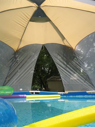 Picture of Above-Ground Pool Screen Gazebo Over Above Ground Pool, Covered Above Ground Pool, Above Ground Pool Gazebo, Diy Pool Canopy, Shade For Pool Ideas, Diy Above Ground Pool Cover, Above Ground Pool Privacy, Pool Cover Ideas Above Ground, Above Ground Pool Landscape Ideas