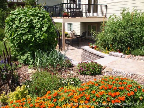 Deck With Retaining Wall, Deck Retaining Wall, Basement Entry, Northfield Minnesota, Patio Under Decks, Retaining Wall Steps, Pergola Outdoor Living, Under Deck, Minnesota Landscaping