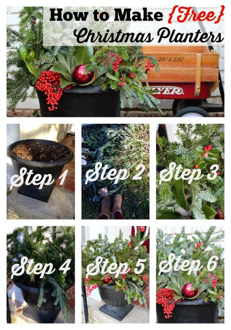 How to Make Free Christmas Planters Tutorial - Southern State of Mind Blog by Heather Simple Christmas Planters Outdoor, Easy Christmas Planters, How To Make Outdoor Christmas Planters, Large Outdoor Christmas Planter Ideas, Christmas Porch Pots Planters Diy, Diy Holiday Planters Outdoor, Winter Topiary Outdoor, Diy Outdoor Christmas Planter Ideas, Diy Christmas Urns Outdoor