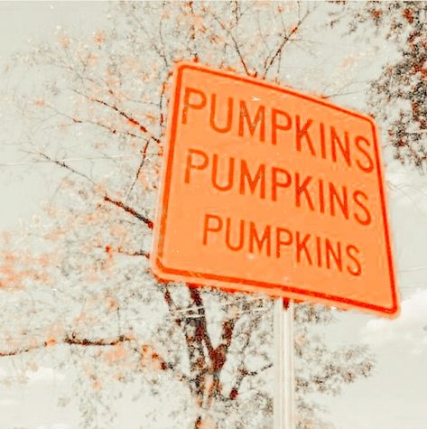 Aesthetic Pumpkins, Peachy Aesthetic, Halloween Wallpaper Cute, Fall Mood Board, Fall Banner, Cute Fall Wallpaper, Iphone Wallpaper Fall, Preppy Fall, Fall Inspo