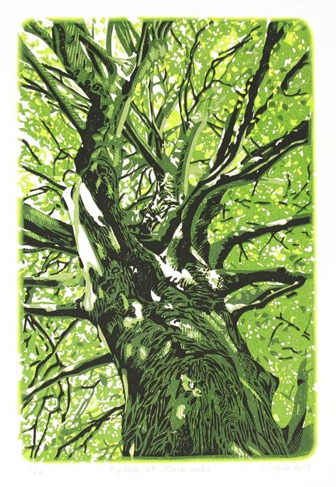 Trees Lino Print, Tree Printmaking, Tree Lino Print, Tree Botanical Illustration, Tree Linocut, Woods Illustration, Egypt Concept Art, Black Rocks, Lino Art